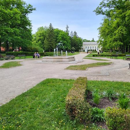 Villa Klara Cieplice Jelenia Góra Eksteriør bilde
